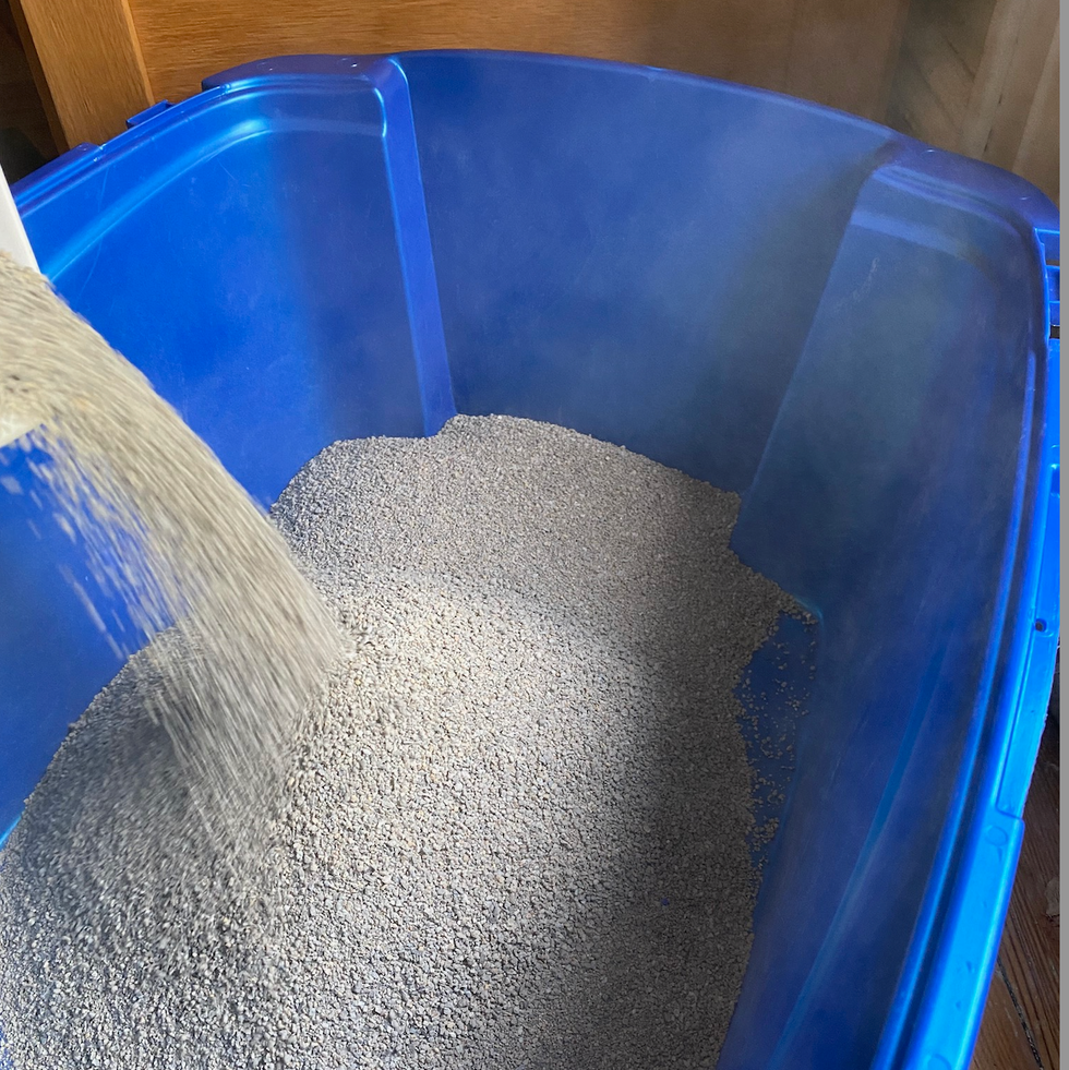 testing cat litter for good housekeeping a blue litter box being filled with cat litter