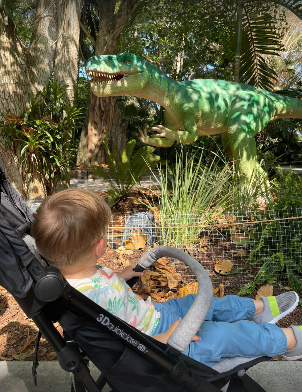 a toddler sits in a summer infant travel stroller and looks at a dino statue, part of a good housekeeping story on the best travel strollers