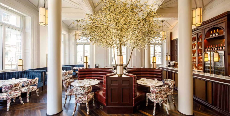 botanic tea room at the liverpool municipal hotel