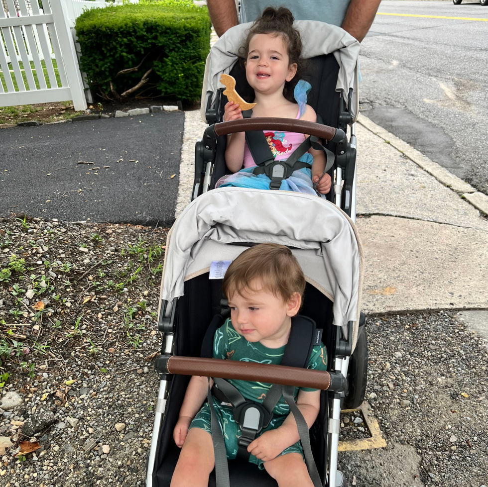 two children ride in the UppaBaby Vista two children ride in the uppababy vista