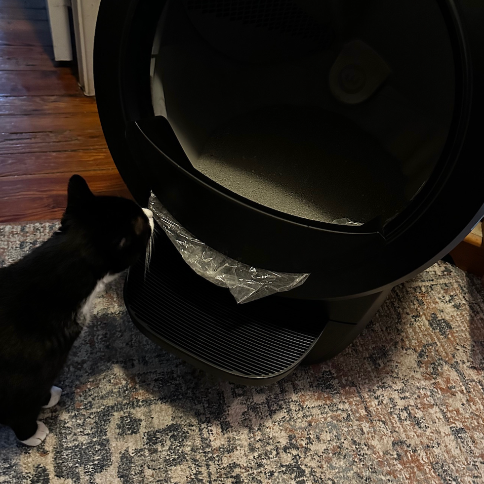 A cat and the Litter-Robot 4 with the fence attachment a cat and the black litter robot 4 with the fence attachment, part of a good housekeeping review of the best self cleaning litter boxes
