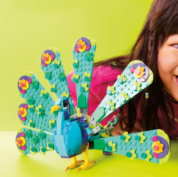 girl playing with turkey lego set girl playing with turkey lego set