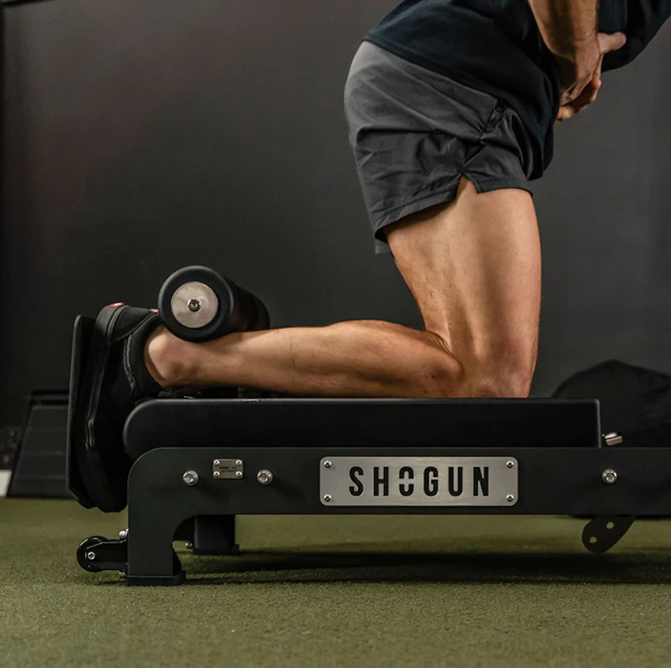 shogun nord ex review inline