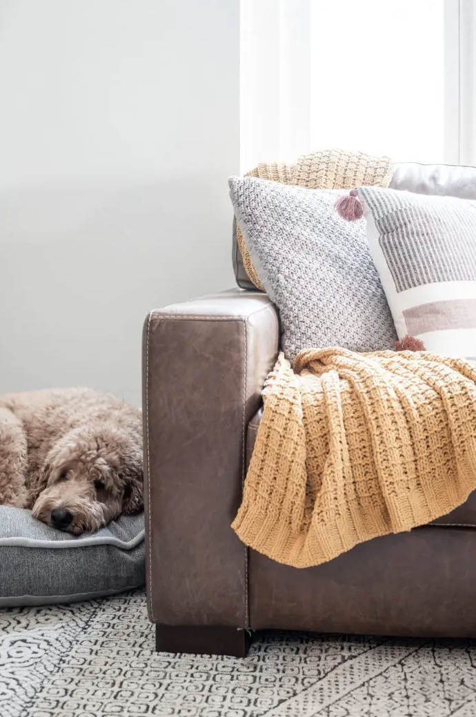 throw blanket on couch