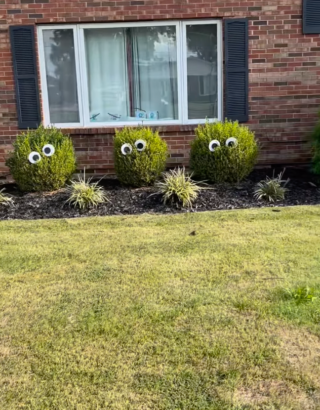 googly eyes halloween decor