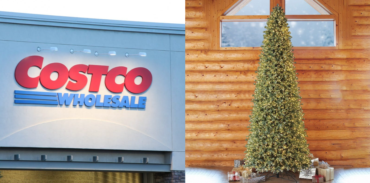 Costco's 6,000Light "Showstopper" Is Their Tallest Christmas Tree EVER