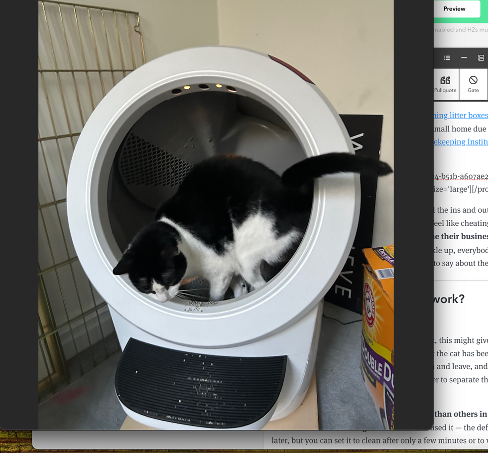 a black and white cat is partially inside a self cleaning litter box, part of a good housekeeping institute test of the litter box 4