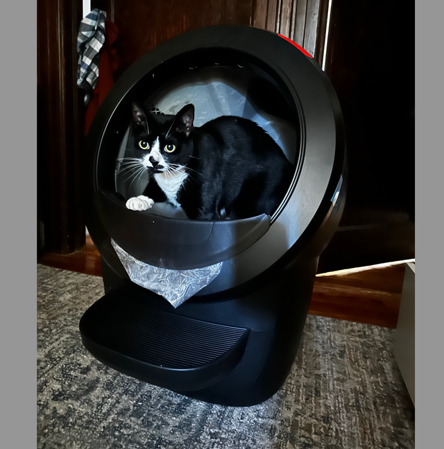 Litter robot black hotsell