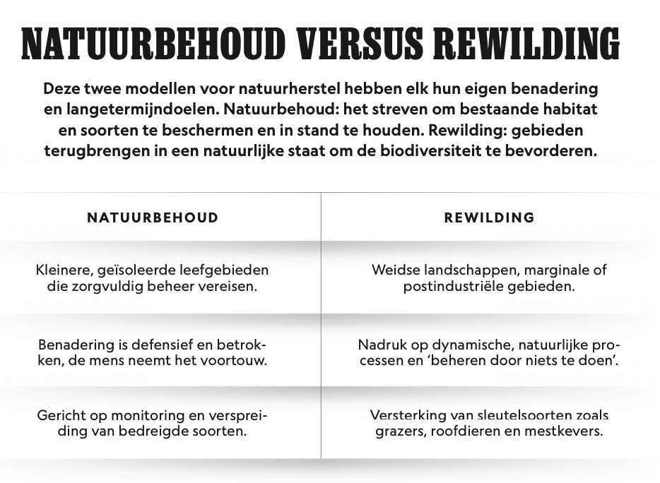 natuurbehoud versus rewilding
