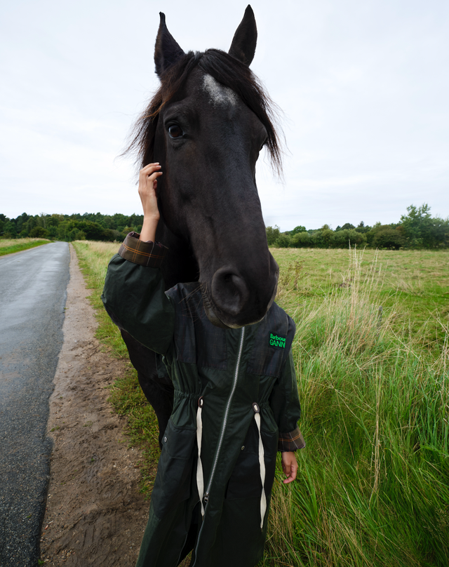 man interacting with black horse on rural road