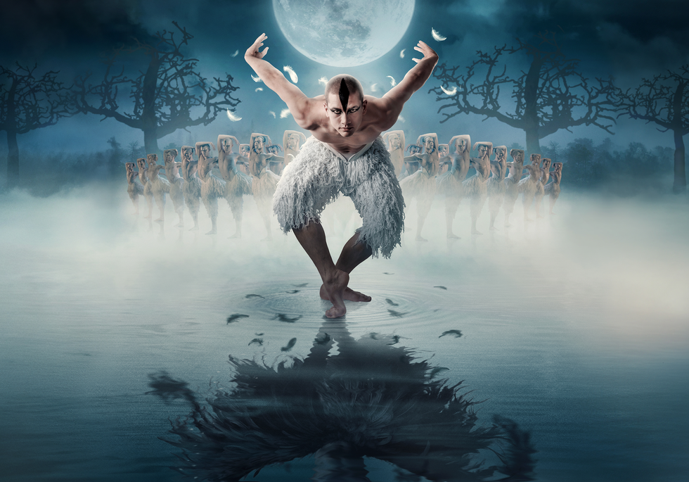 swan lake