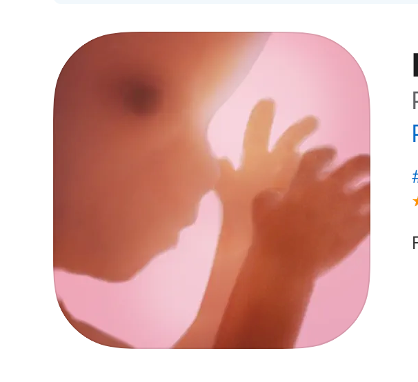 silhouette of a fetus which is the logo for the pregnancy plus pregnancy tracking app