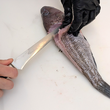 filleting a fish with a knife on a cutting board filleting a fish with a knife on a cutting board