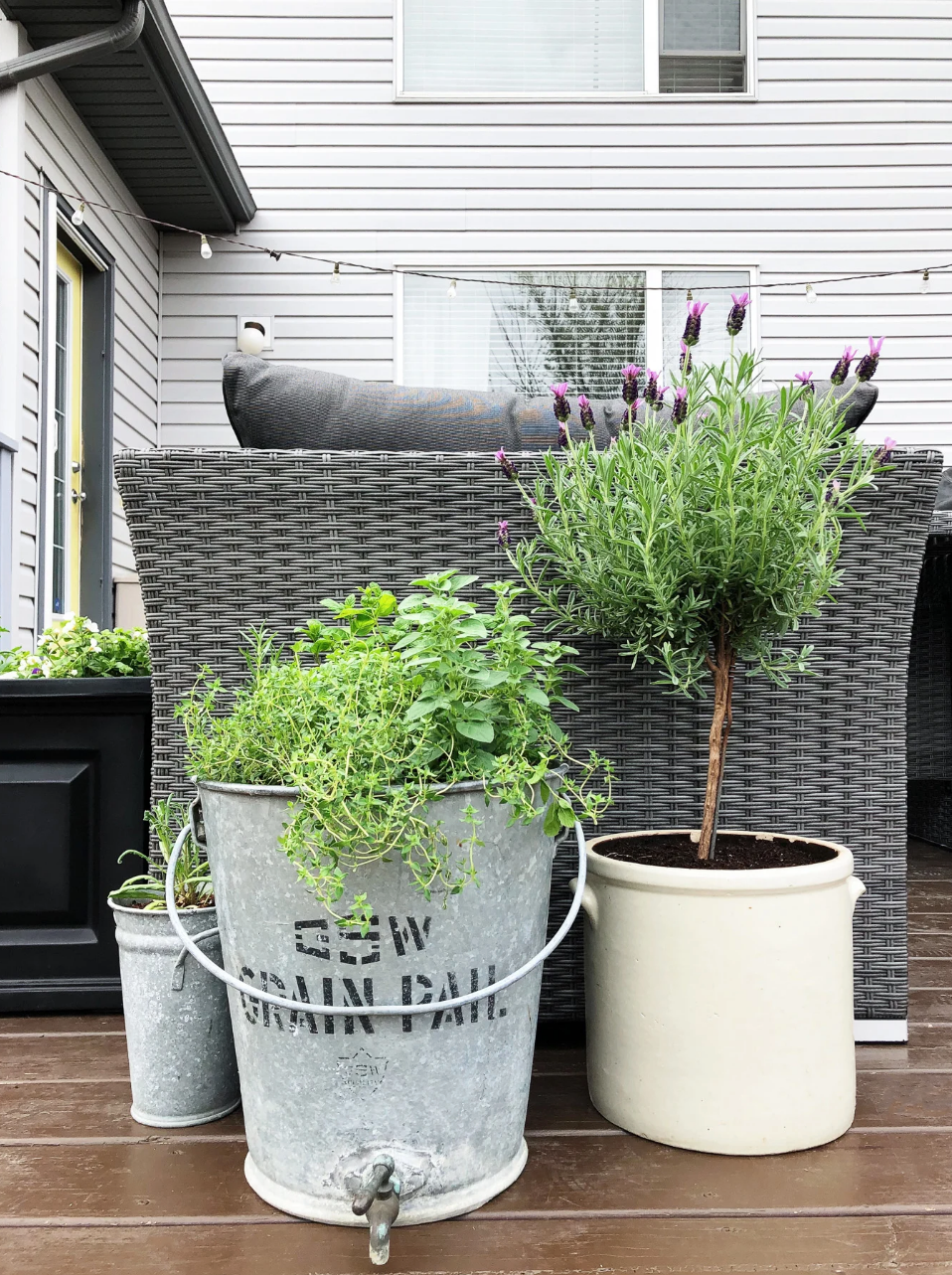 herb container garden