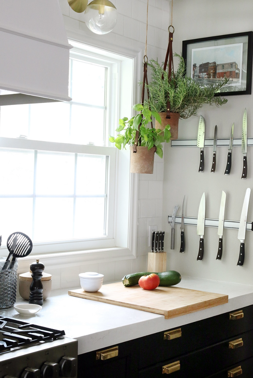 kitchen countertop with vegetables and kitchen tools
