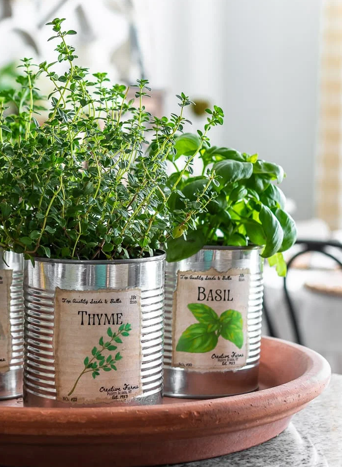 herb planters in metal cans labeled with thyme and basil
