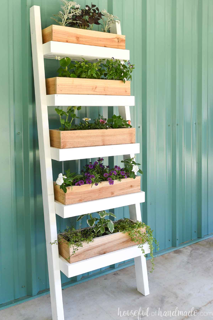 ladder planter