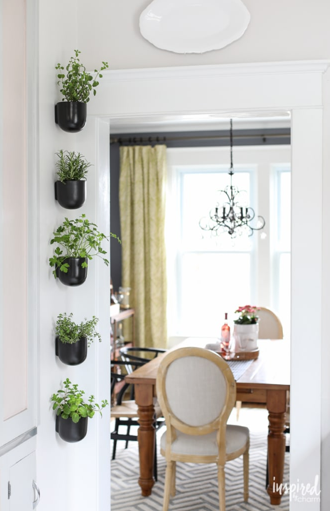 herb garden