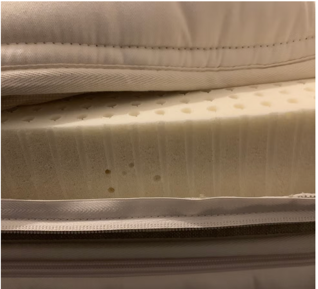 a cross section view of a latex mattress