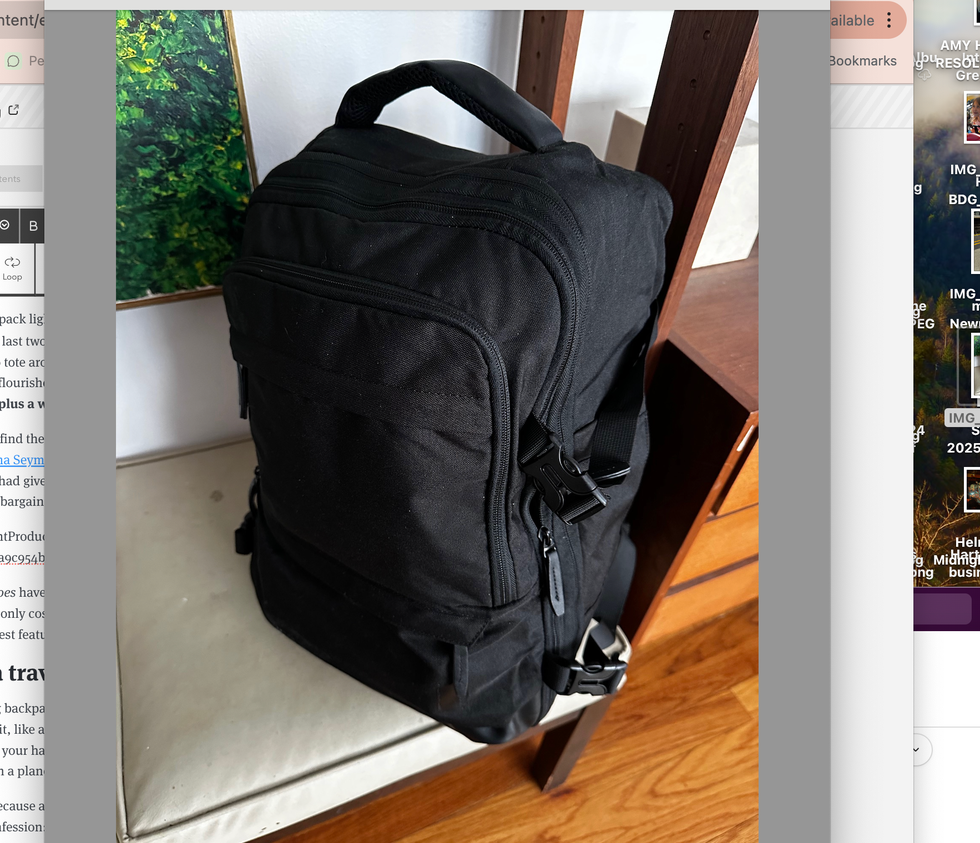 bagsmart travel backpack sitting on a bench in a home
