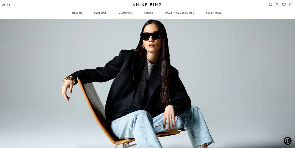 anine bing