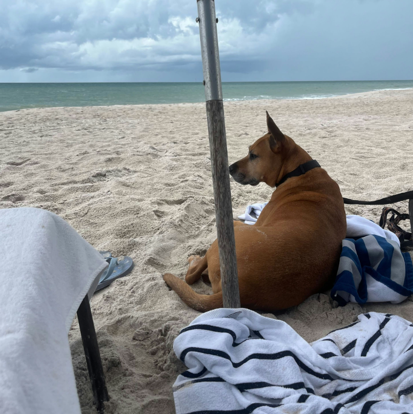 kimpton vero beach florida kimpton vero beach florida