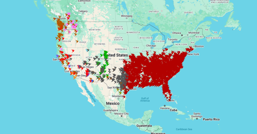 map of the united states showing bird migration patterns