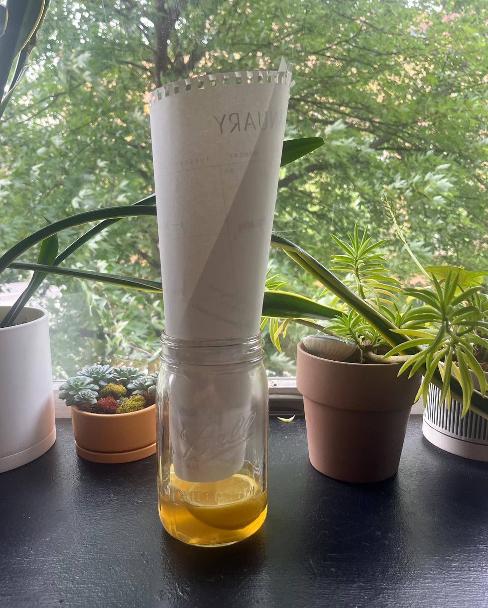 apple cider vinegar trap
