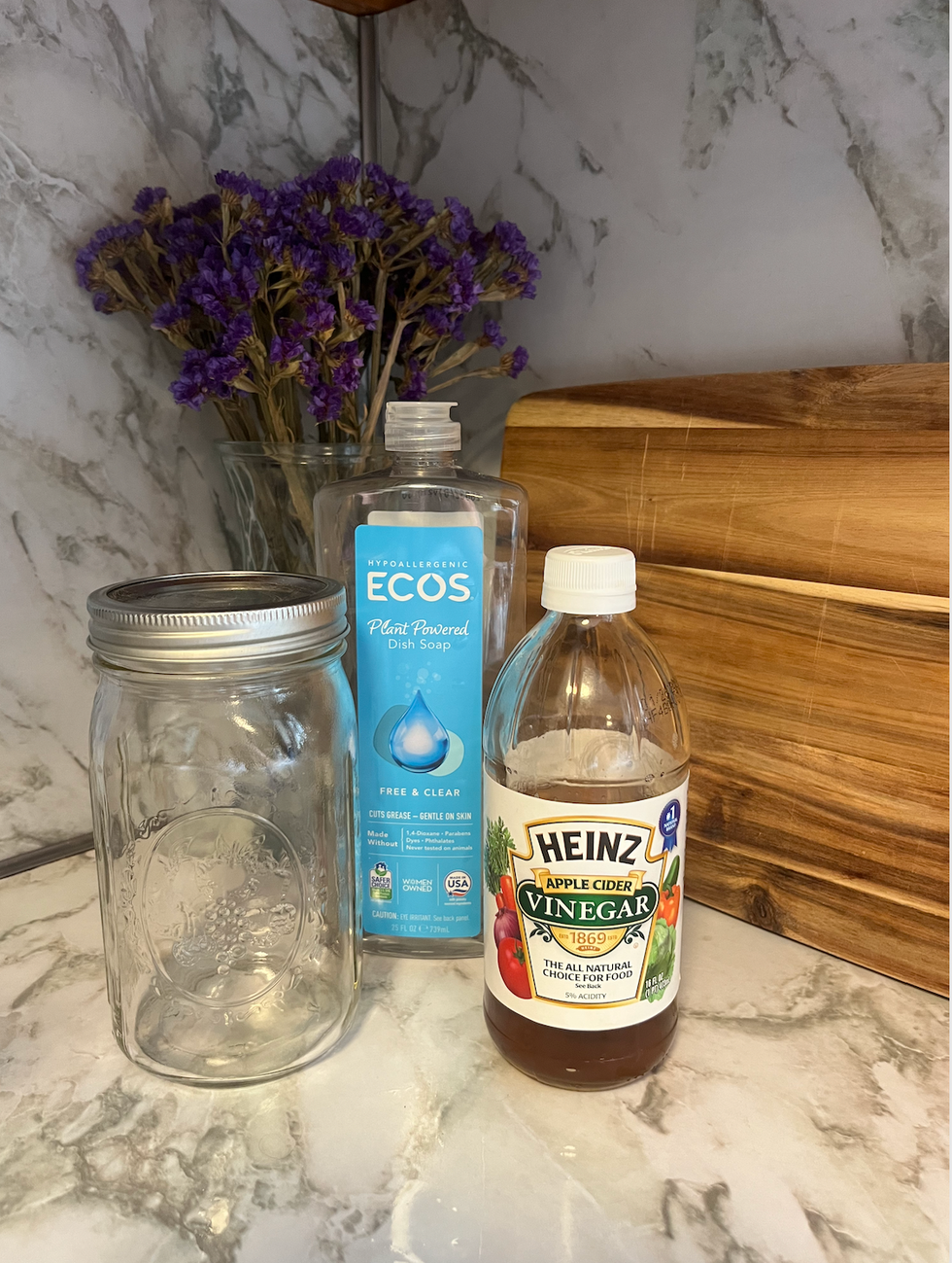 supplies needed for homemade fly trap