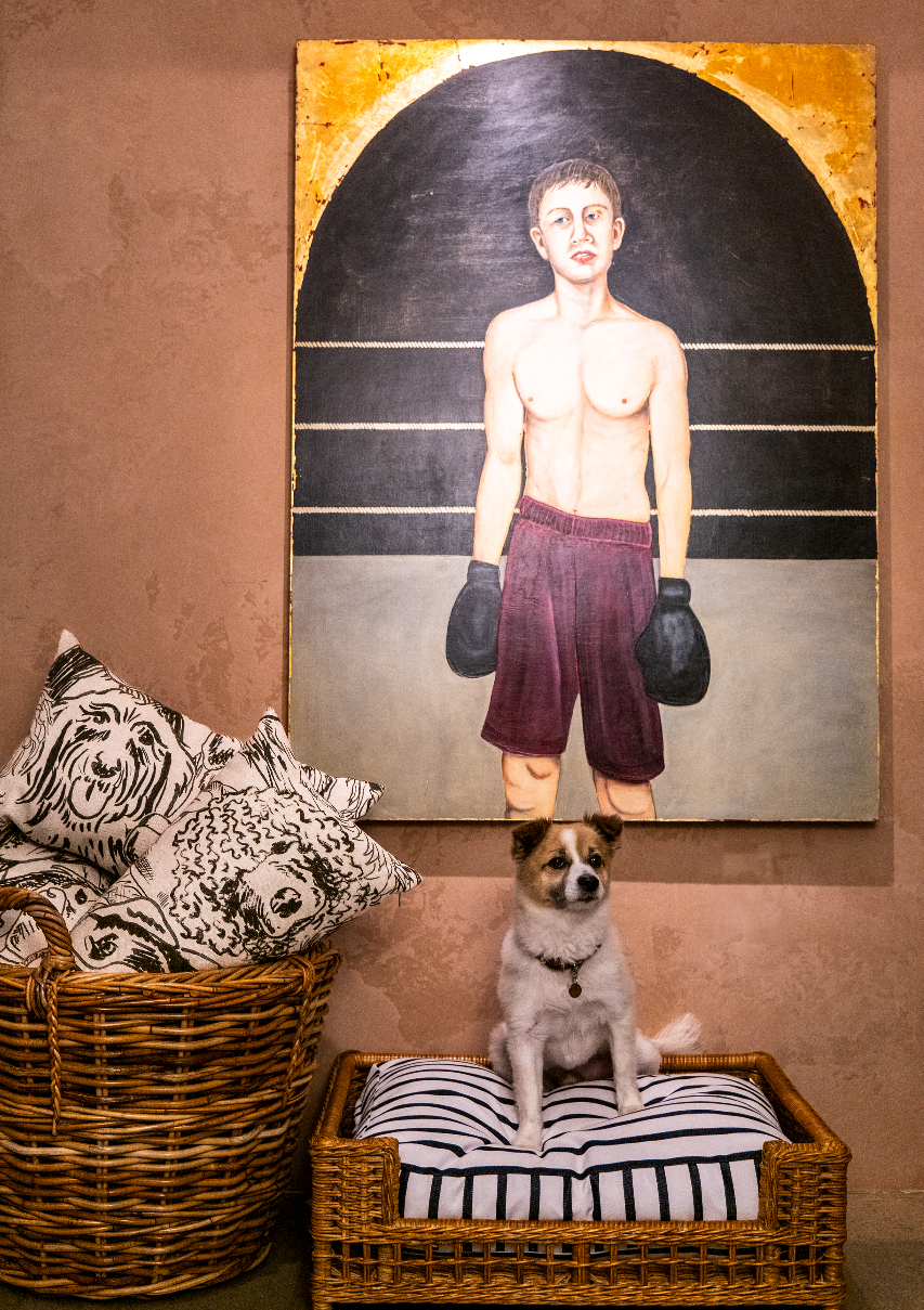 a boxingthemed artwork with a dog in a cozy setting