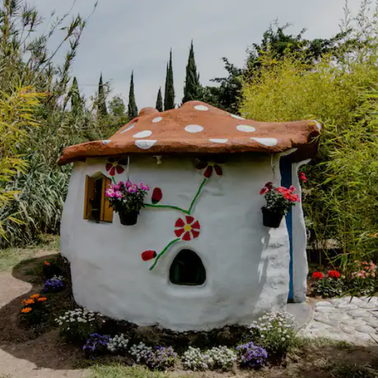 playful mushroomshaped house surrounded by flowers in mexico airbnb playful mushroomshaped house surrounded by flowers in mexico airbnb