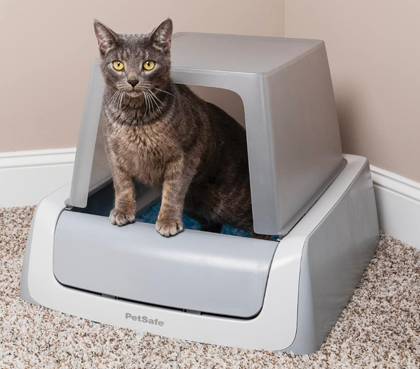 self cleaning litter box from petsafe with its hood on and a gray cat inside