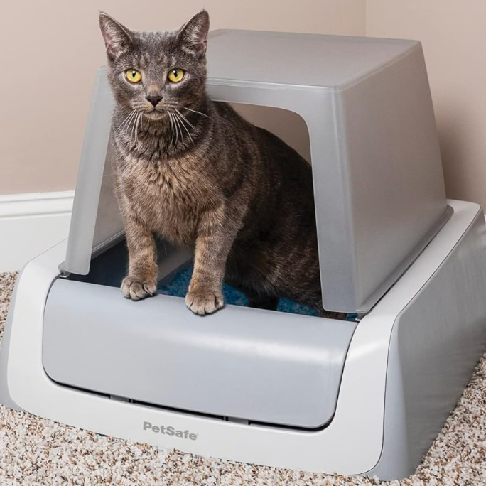self cleaning litter box from PetSafe self cleaning litter box from petsafe with its hood on and a gray cat inside