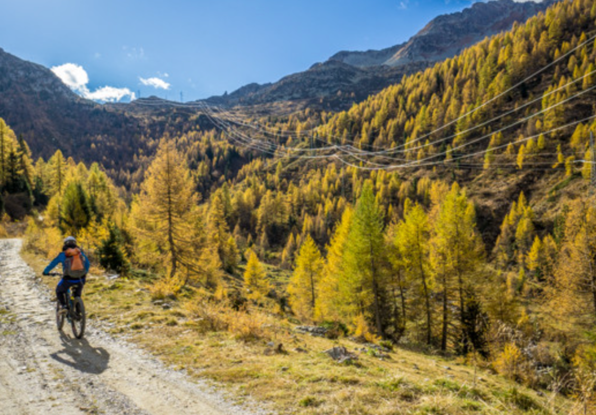 Escursioni in Montagna: Il Rifugio Perfetto per Trekking e MTB durante le Ondate di Calore