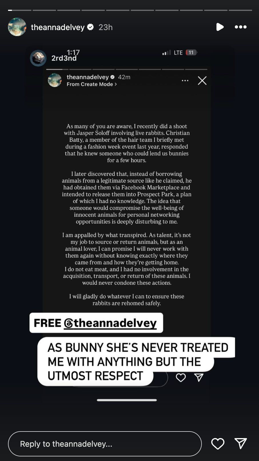 anna delvey releases statement about the abandoned bunnies
