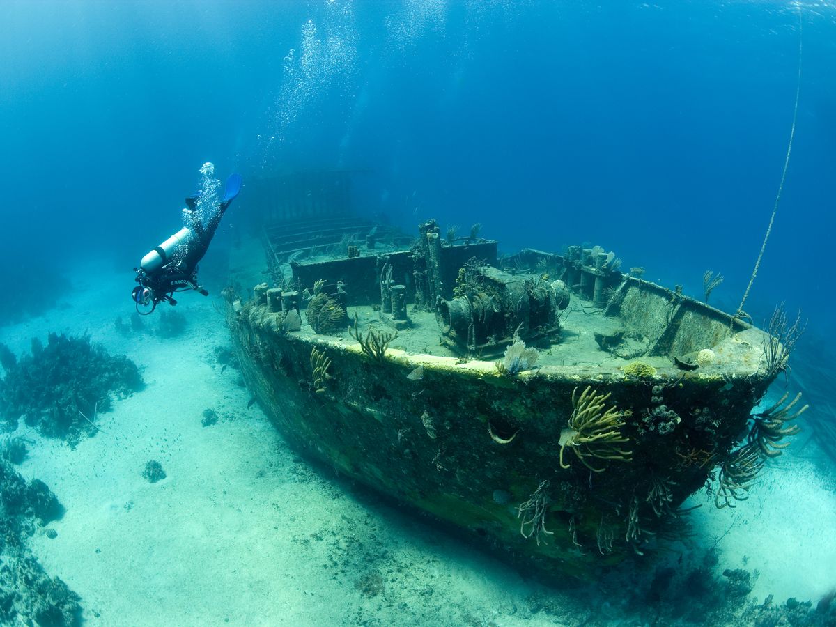 scuba-diver-exploring-a-large-