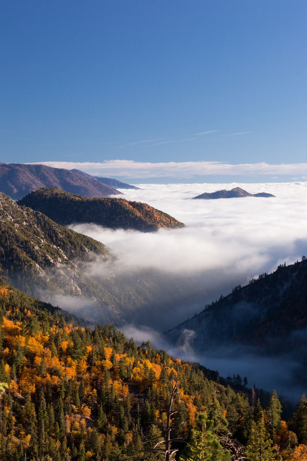 sea of clouds over big bear lake with the surrounding mountains in fall color