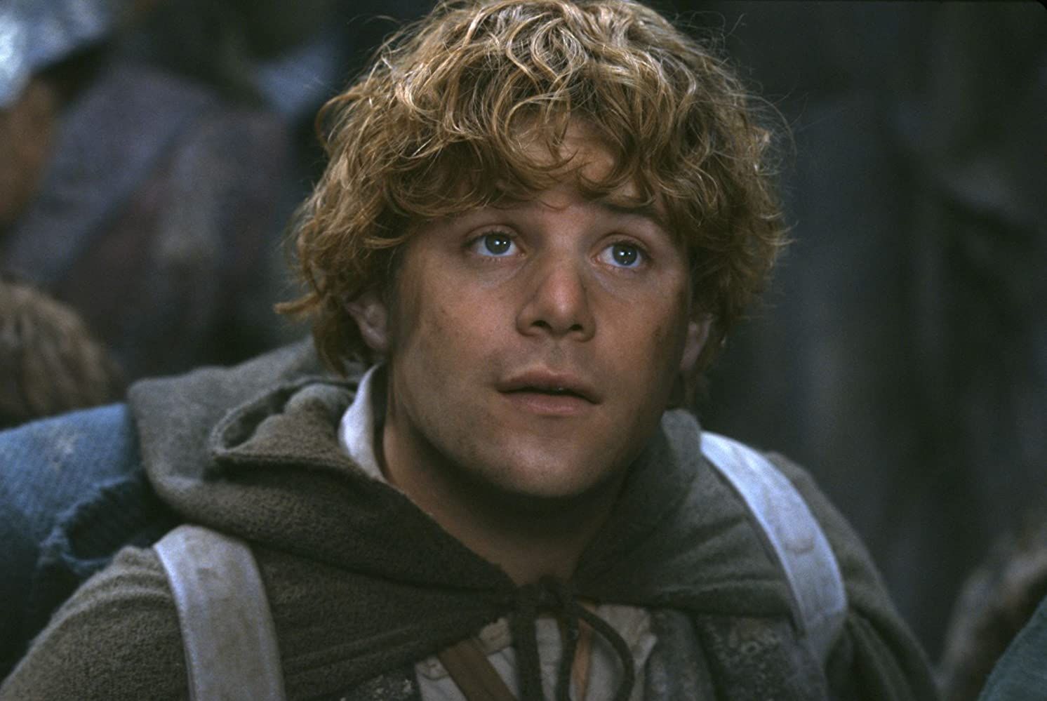 What 'Lord of The Rings' Actors Look Like After 16 Years / Bright Side