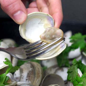 Food, Dish, Ingredient, Cuisine, Oyster, Clam, Parsley, Bivalve, Plant, Herb, 