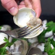 Food, Dish, Ingredient, Cuisine, Oyster, Clam, Parsley, Bivalve, Plant, Herb, 