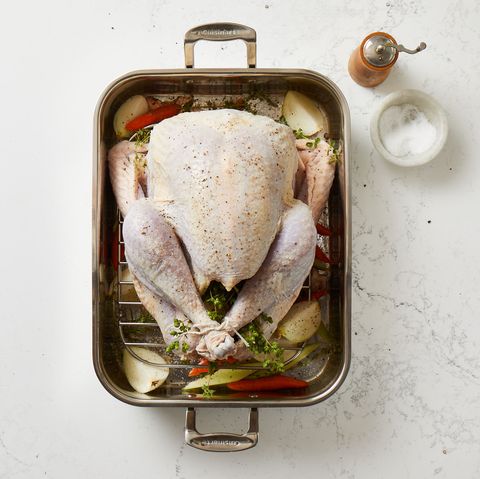 seasoned turkey in roasting pan