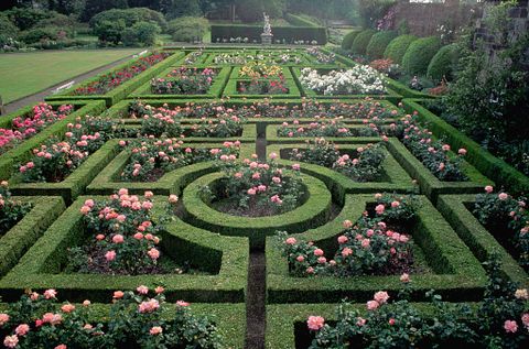 the parterre garden at seaton delaval hall in northumberland, england