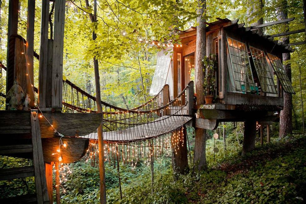 全球最美的十間「樹屋」住宿，將叢林的靜謐和星空的唯美盡收眼底！