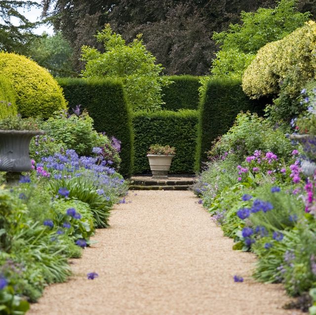 pathway leading through old fashioned garden borders, shallow depth of field