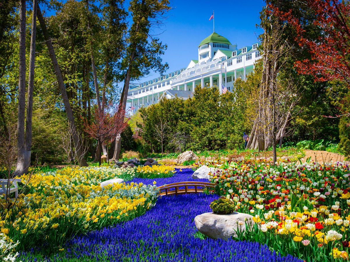 The 10 Best Flower Festivals to Attend This Year Around the World