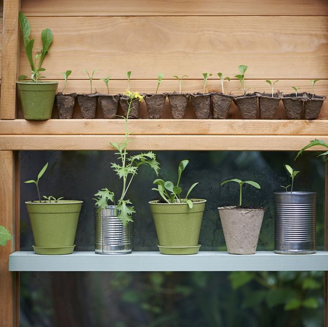 Small Indoor Planter, Outdoor Planter, Single Pot Planter, Heavy Duty  Planter, Ourdoor and Garden 