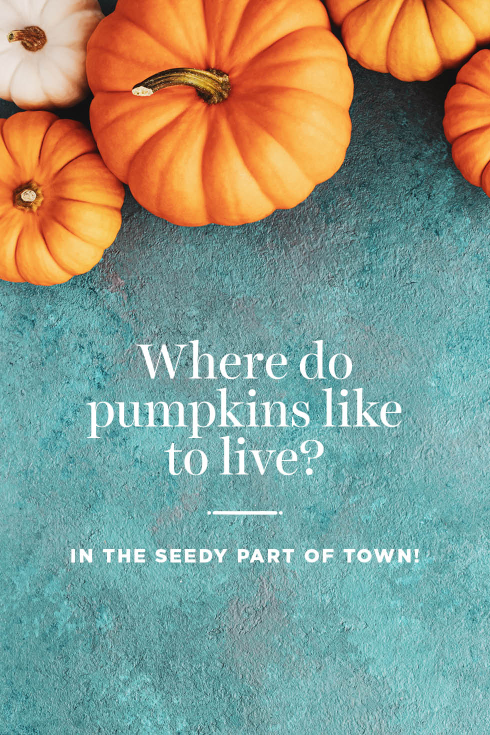 70 Best Pumpkin Quotes and Puns - Pumpkin Sayings for Instagram