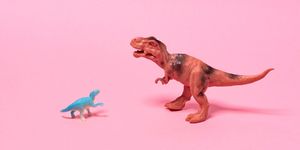 Big and Small Toy Dinosaurs