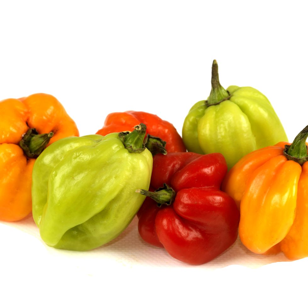 selection of colorful hot spicy scotch bonnet chillies