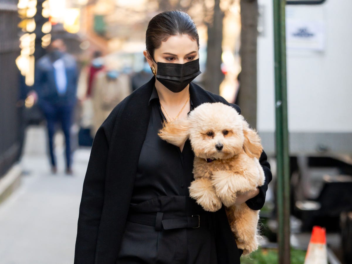 Selena Gomez on the Set of Feed the Dog in Los Angeles August 3, 2012 –  Star Style